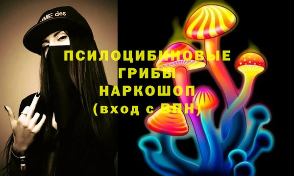 стаф Нефтекумск