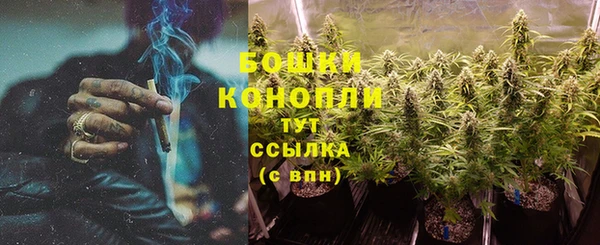 гашик Нея