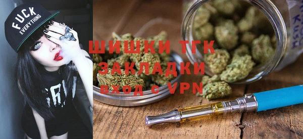 гашик Нея