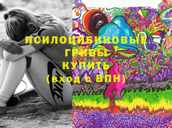 гашик Нея