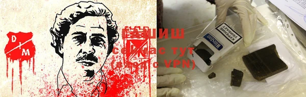 гашик Нея