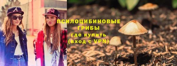 стаф Нефтекумск