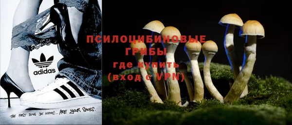 стаф Нефтекумск