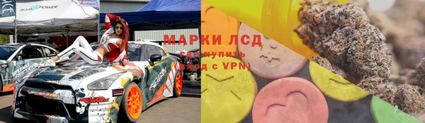 гашик Нея