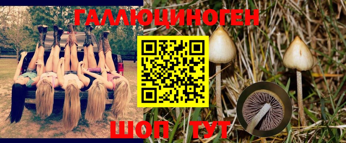 Галлюциногенные грибы прущие грибы  Псилоцибиновые грибы MAGIC MUSHROOMS  Ижевск  где продают   Вход с VPN 