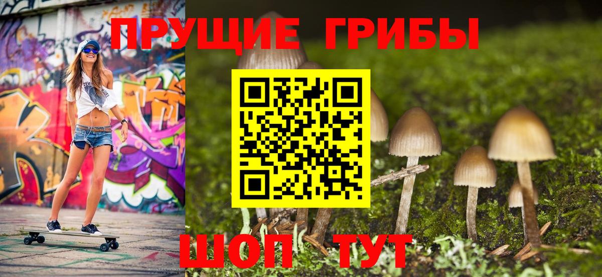 Псилоцибиновые грибы Cubensis  Галлюциногенные грибы Cubensis  Ижевск 